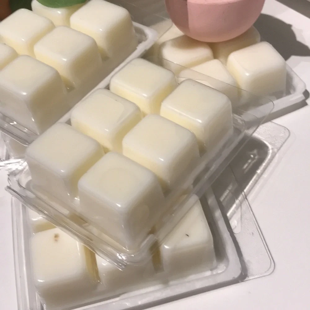 Scents Wax Melts Beach Sand Vibe Salted Seas Hand Crafted Final Sale